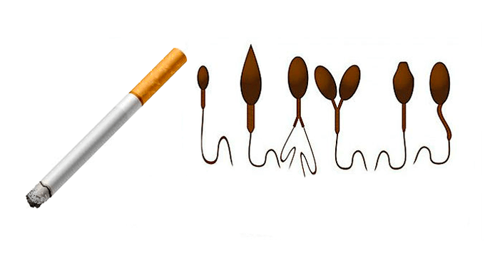 Nieprawidłowa struktura plemników z powodu uzależnienia od tytoniu